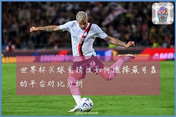 世界杯买球竞猜该如何选择最可靠的平台对比分析